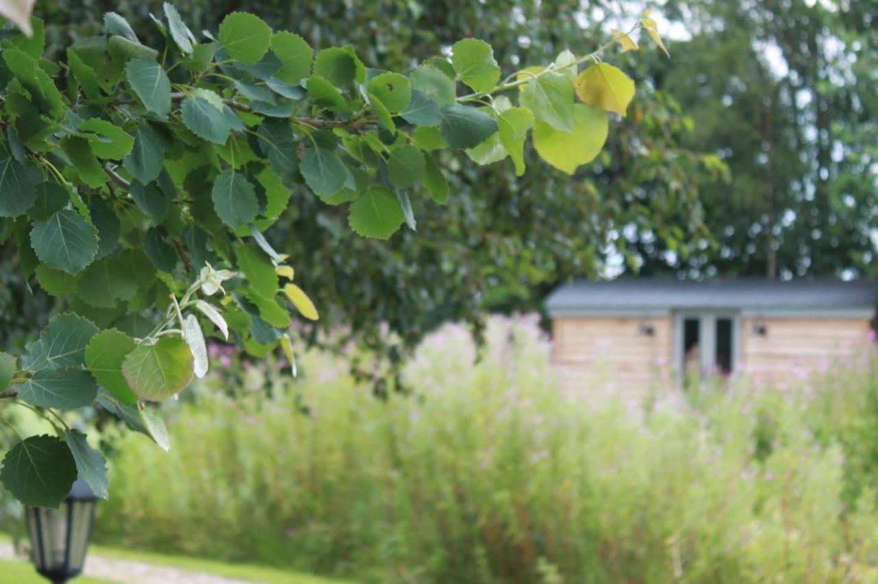 Luxury Shepherds Hut - The Sweet Pea By The Lake York Esterno foto